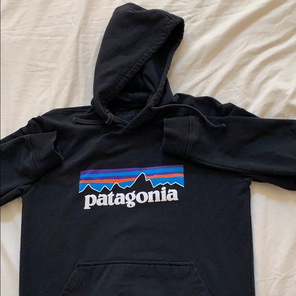 Patagonia Other - Patagonia Hoodie